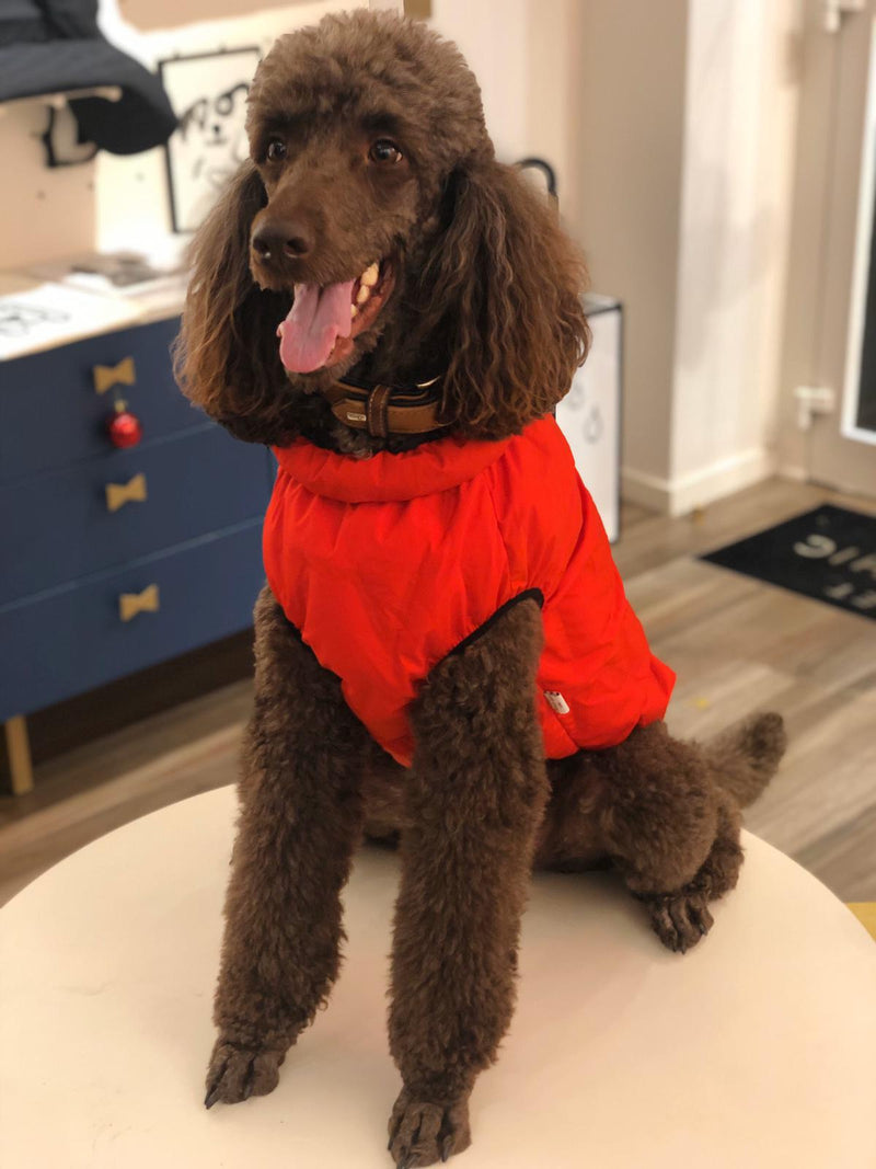 "Warm so chic" dog winter jacket - Red-Petsochic