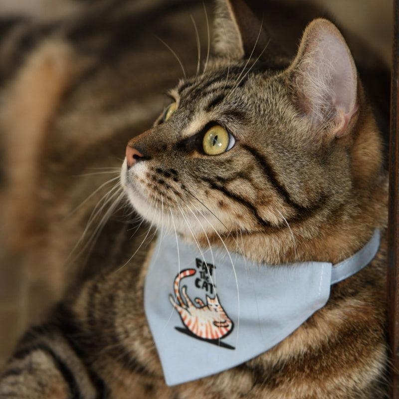 Cat collar - Fat The Cat-Petsochic