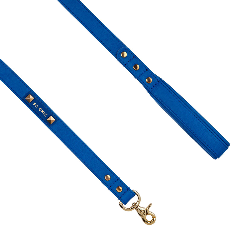 Dog leash - Royal Blue 💙-Petsochic