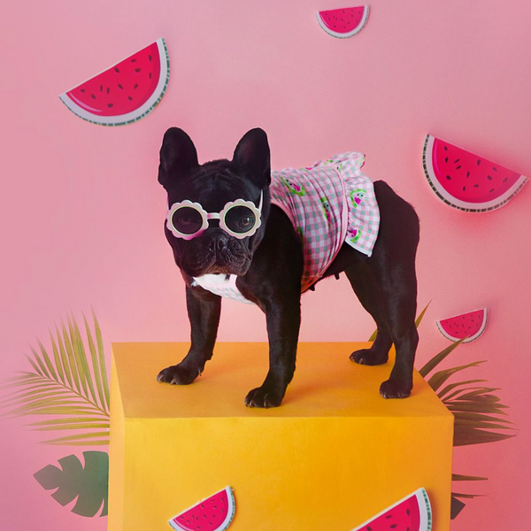 Maillot de bain pastèque 🍉 et citron 🍋-Petsochic