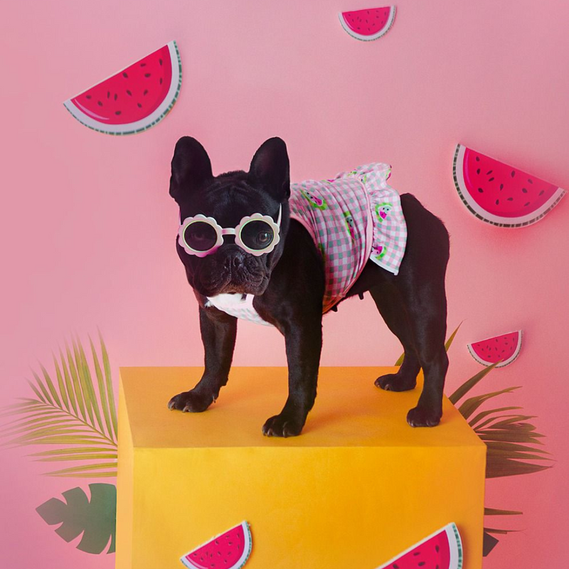Swimsuit watermelon 🍉 and lemon 🍋-Petsochic