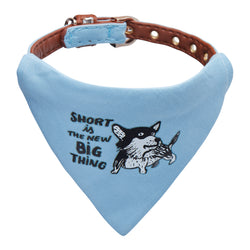 Tiny dog collar - "Small is the new big thing"-Petsochic
