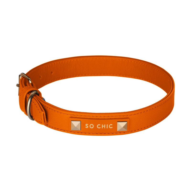 Dog collar - Orange Tangerine 🧡-Petsochic