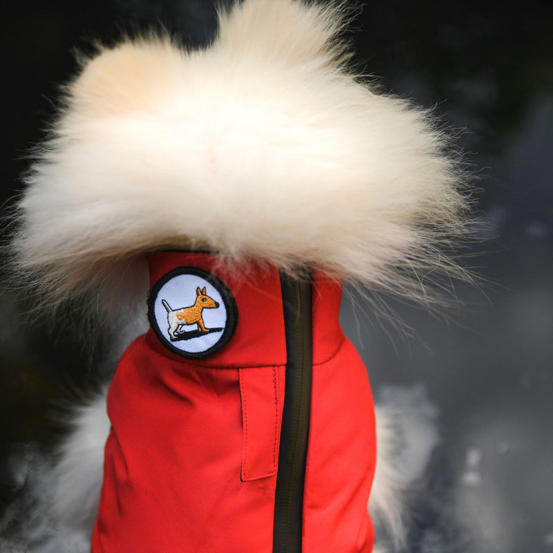 "Warm so chic" veste d'hiver pour chien - Red-Petsochic