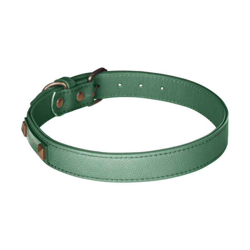 Dog collar - Forest Green 💚-Petsochic