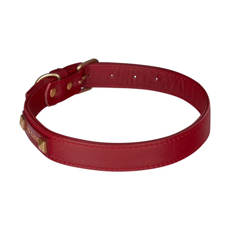 Dog collar - Magnetic Red ❤️-Petsochic