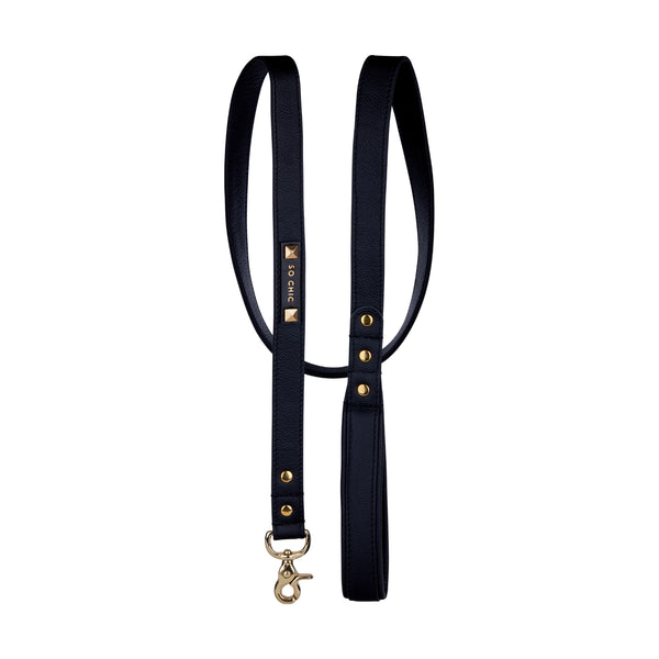 Dog leash - Mystery Black 🖤 – Petsochic