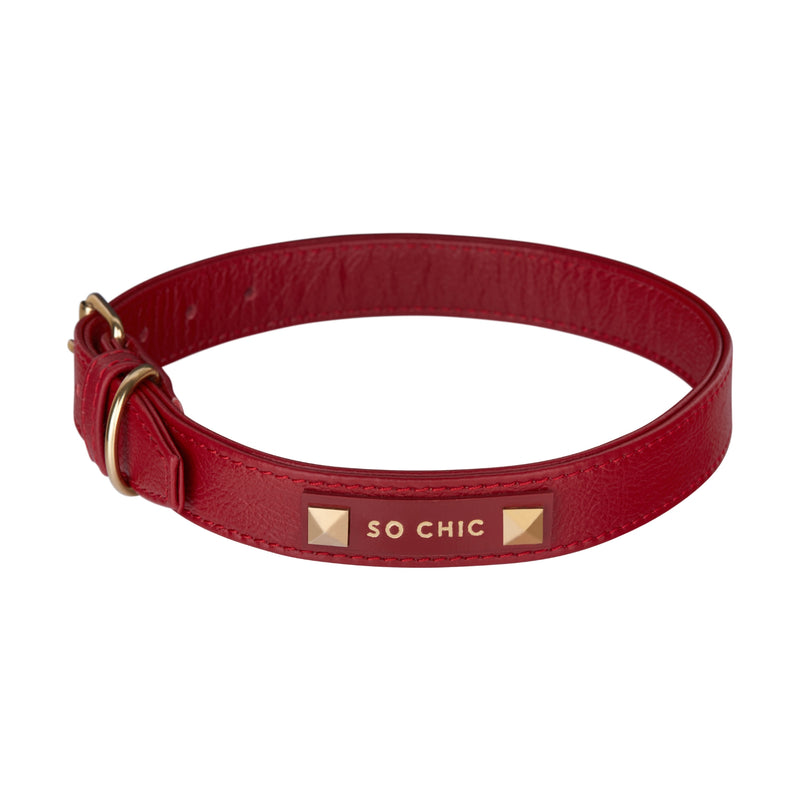 Collier pour chien - Magnetic Red ❤️-Petsochic
