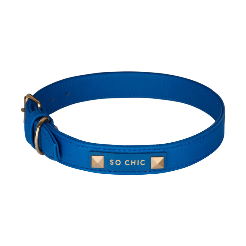 Dog collar - Royal Blue 💙-Petsochic