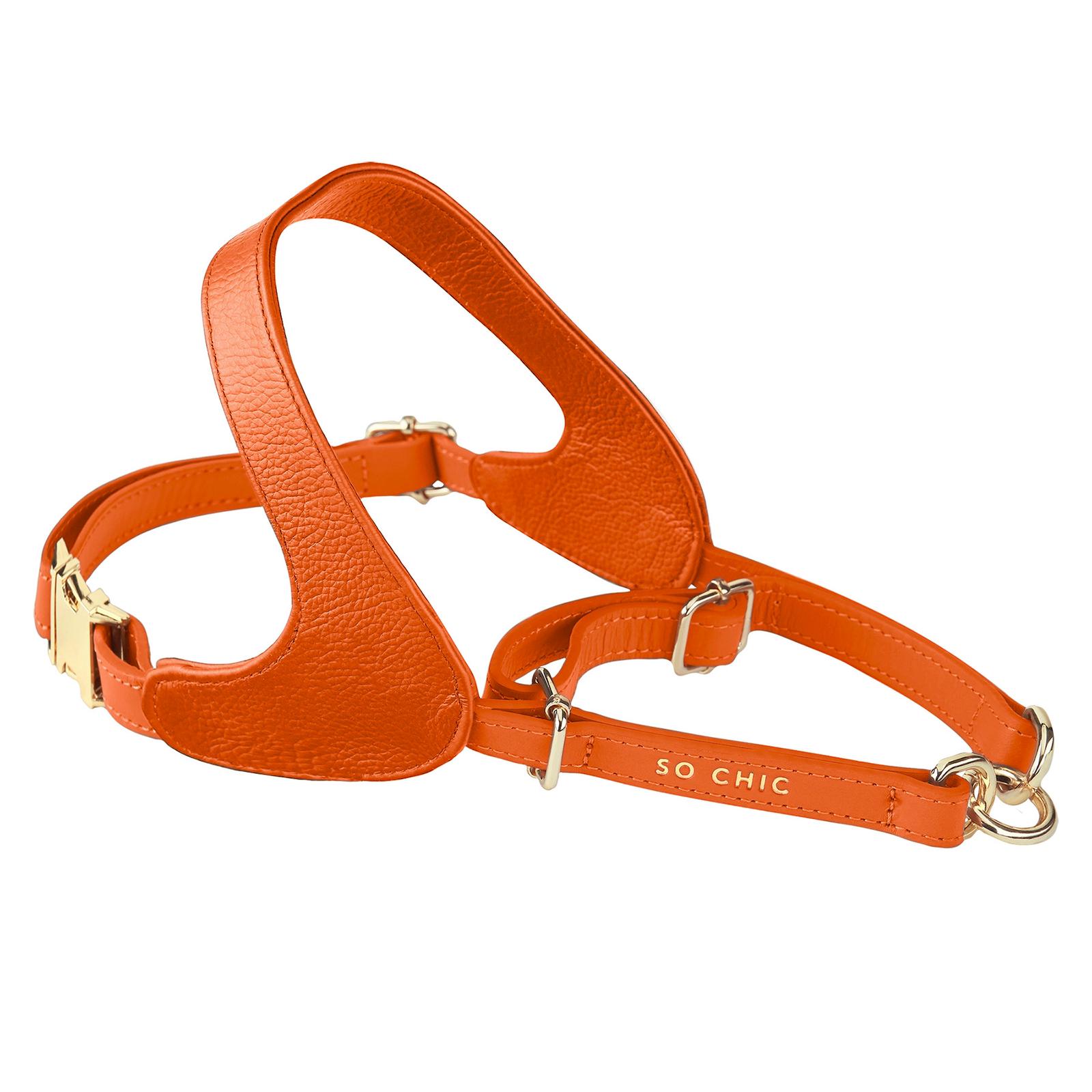 Harnais peche - Sport & Plein air