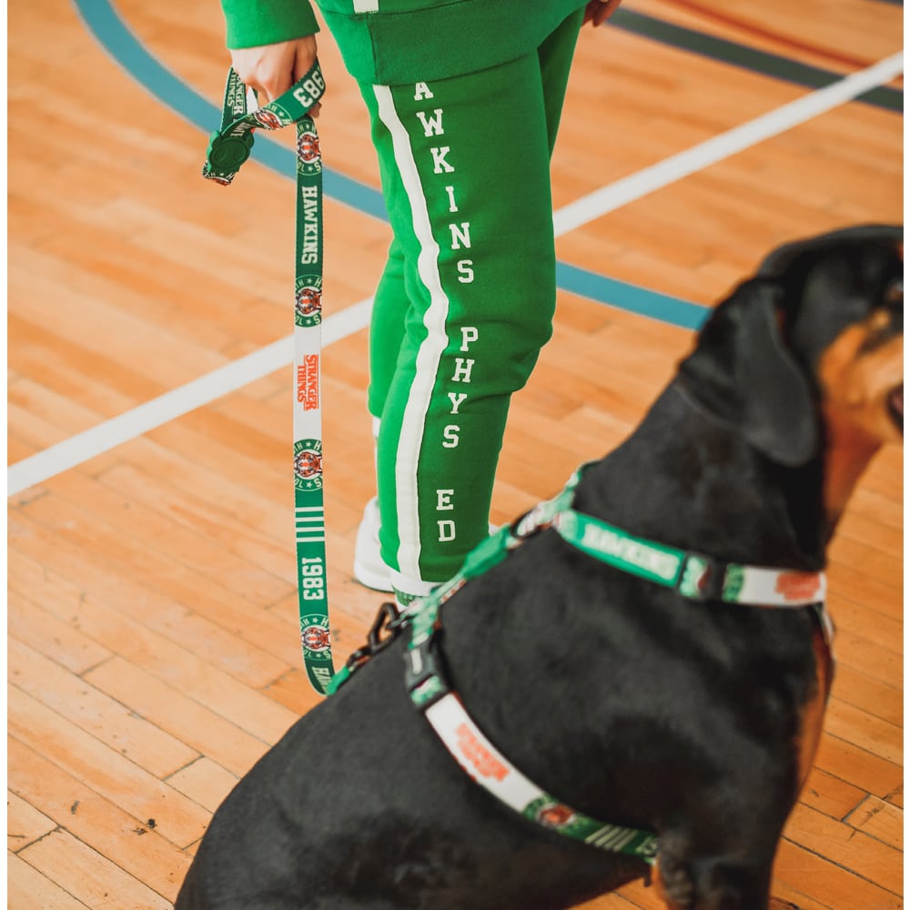 Zeedog x Stranger Things - H harness – Petsochic
